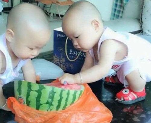 娱乐吃瓜双胞胎