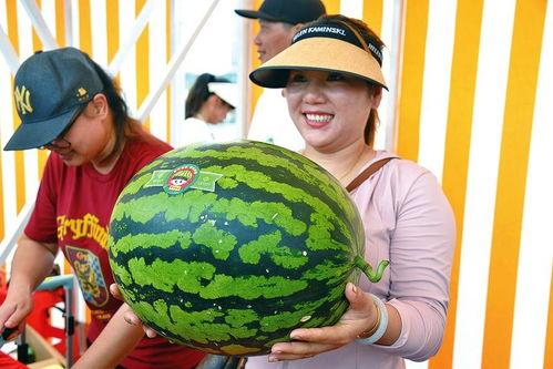 每天看娱乐吃瓜会怎么样